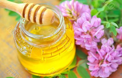 glass jar full of honey and stick with acacia pink and white flo