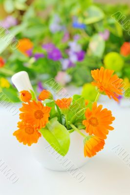 Calendula flowers and mortar