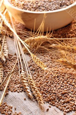 wheat seeds on rough material