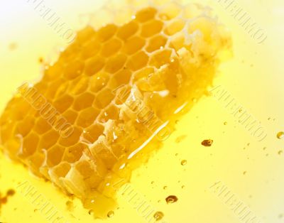 Honeycomb flow