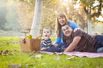 Happy Mixed Race Ethnic Family Having a Picnic In Park