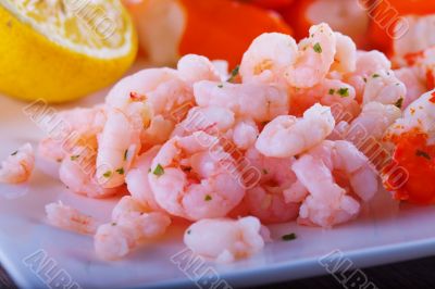 Shrimps