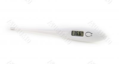 Thermometer