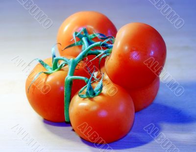  tomatoes