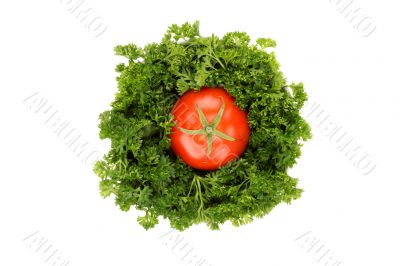 Parsley and tomato