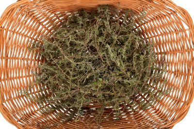 Rosemary in basket Rosemary in basket