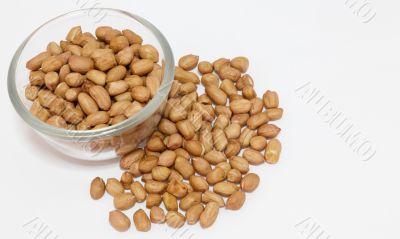 peanuts in bowl isolated on white background