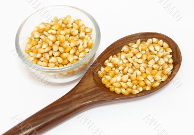 yellow corn grain and spoon isolated on white background