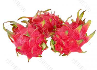 dragon fruits isolated on white background