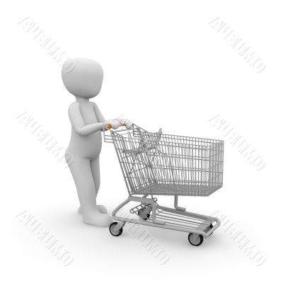 shopping cart 3