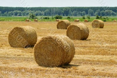 Haystack on field