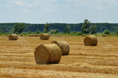 Haystack on field