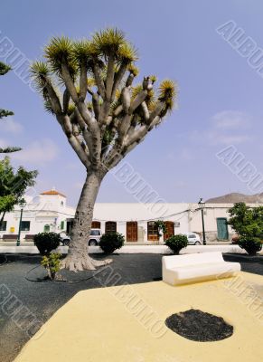 Tinajo, Lanzarote, Canary Islands, Spain