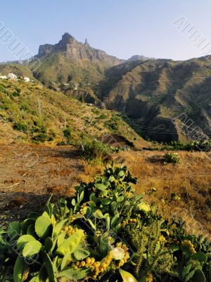 Gran Canaria Gran Canaria