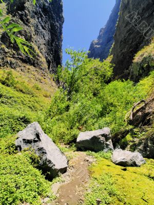 Hell`s Gorge on Tenerife