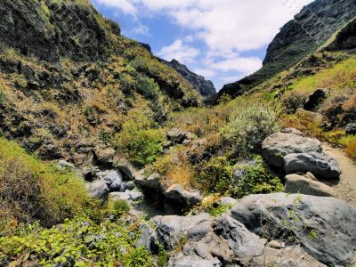 Hell`s Gorge on Tenerife