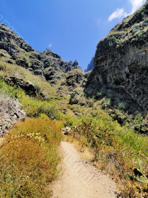 Hell`s Gorge on Tenerife