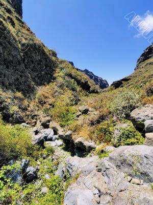 Hell`s Gorge on Tenerife