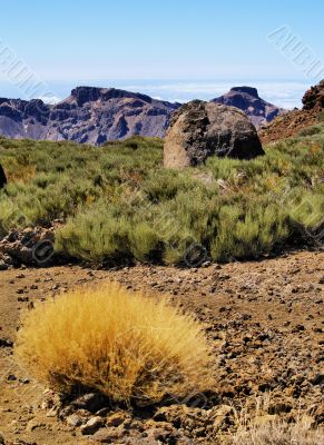 Teide National Park