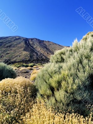 Teide National Park