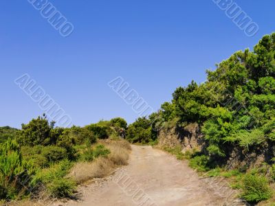 Garajonay National Park