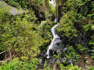 Garajonay National Park