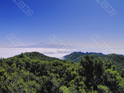 View from Mount of Garajonay on Gomera