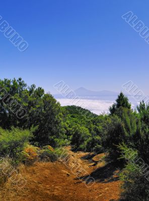 View of Teide from Mount of Garajonay on Gomera