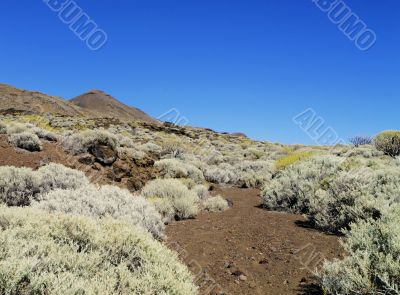 Landscape of Hierro, Canary Islands