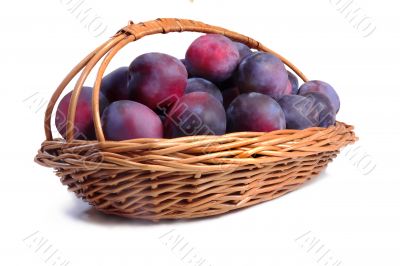 Basket full of ripe plums