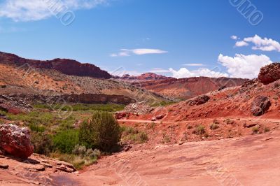 Red Desert