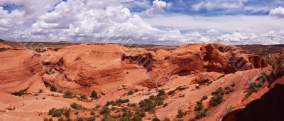 Desert panorama