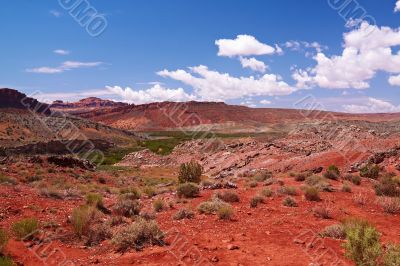 Red Desert