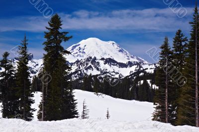 Snowcapped Mount Rainier