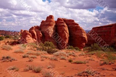 Red Desert