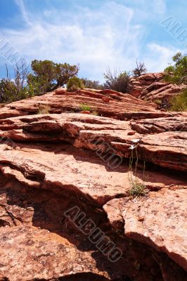 Red Desert