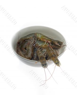 raw fresh shrimps