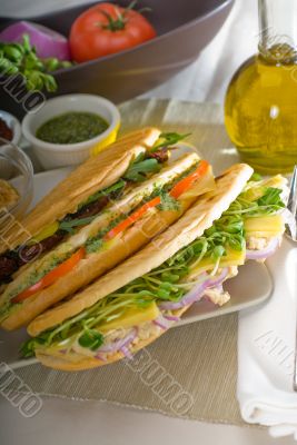 assorted panini sandwich