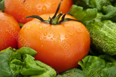 Tomatoes close up