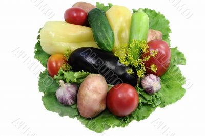A variety of vegetables and salad. Presented on a white backgrou