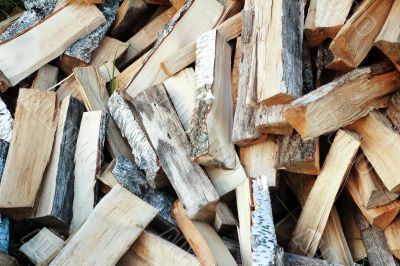 Firewood of various breeds of trees.