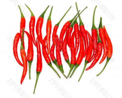 Pile of red chili peppers isolated on white Pile of red chili peppers isolated on white