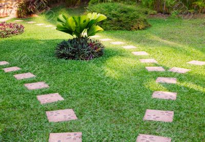 Stone path on green grass