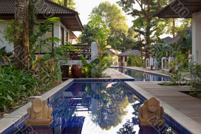 pool with palm trees in an exotic hotel