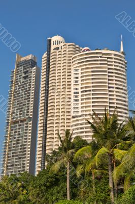 Skyscrapers in the palms Skyscrapers in the palms