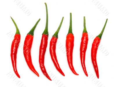 Seven Red hot chili pepper