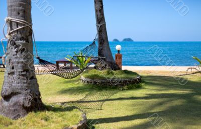 Hammock strung between two palms on tropical island.