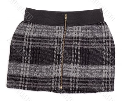 Women`s plaid skirt