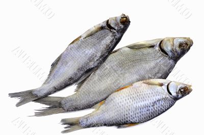 Salted and dried river fish on a white background.