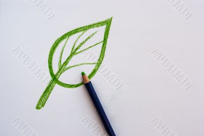 Hand drawing leaf with pencil